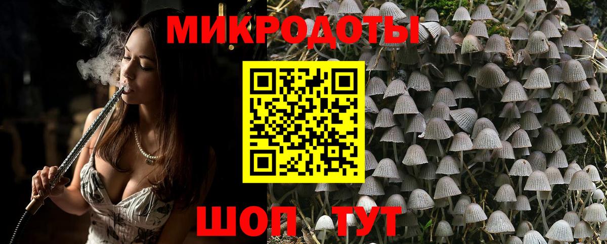 Псилоцибиновые грибы прущие грибы  Вход с VPN  Шелехов 